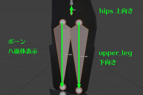 骨盤と大腿骨の骨は八面体にすると逆さまの関係であることが分かる