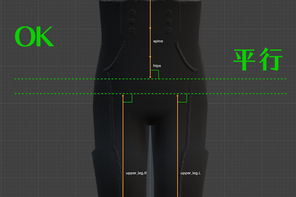 骨盤と大腿骨の角度が正しく平行である図
